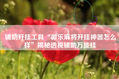 辅助开挂工具“微乐麻将开挂神器怎么样	”揭秘透视辅助万能挂