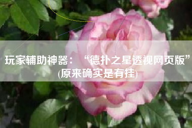 玩家辅助神器：“德扑之星透视网页版”(原来确实是有挂)