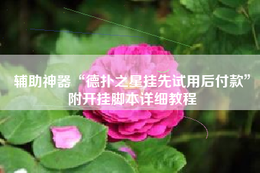 辅助神器“德扑之星挂先试用后付款”附开挂脚本详细教程