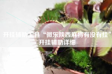 开挂辅助工具“微乐陕西麻将有没有挂	”开挂辅助详细