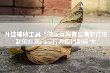 开挂辅助工具“微乐麻将有没有软件控制的红龙poker有透视辅助挂(太
