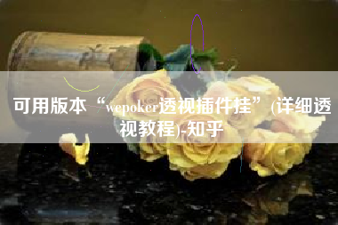 可用版本“wepoker透视插件挂”(详细透视教程)-知乎