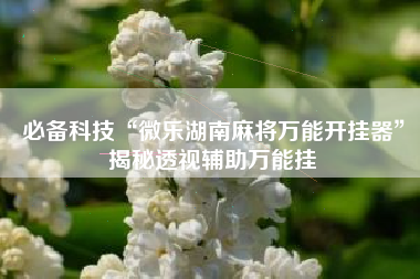 必备科技“微乐湖南麻将万能开挂器”揭秘透视辅助万能挂