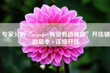 专家分析“wepoker有没有透视挂”开挂辅助脚本+详细开挂