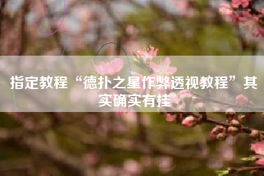 指定教程“德扑之星作弊透视教程”其实确实有挂