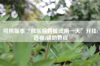 可用版本“微乐麻将挂试用一天”开挂(透视)辅助教程