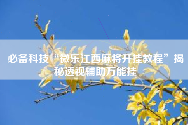 必备科技“微乐江西麻将开挂教程”揭秘透视辅助万能挂