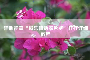 辅助神器“微乐辅助器免费”开挂详细教程