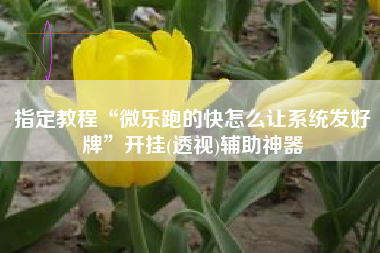 指定教程“微乐跑的快怎么让系统发好牌”开挂(透视)辅助神器