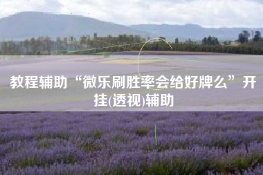 教程辅助“微乐刷胜率会给好牌么”开挂(透视)辅助