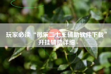 玩家必读“微乐二七王辅助软件下载	”开挂辅助详细