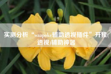 实测分析“waapoke辅助透视插件	”开挂(透视)辅助神器