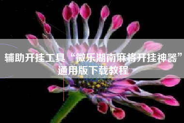 辅助开挂工具“微乐湖南麻将开挂神器	”通用版下载教程