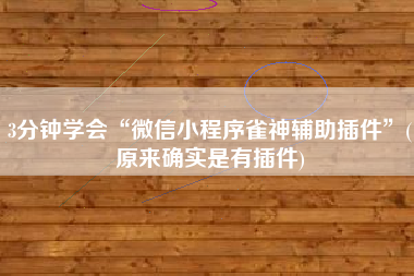 3分钟学会“微信小程序雀神辅助插件”(原来确实是有插件)