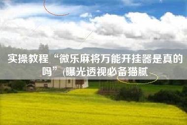 实操教程“微乐麻将万能开挂器是真的吗	”(曝光透视必备猫腻