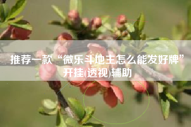 推荐一款“微乐斗地主怎么能发好牌”开挂(透视)辅助