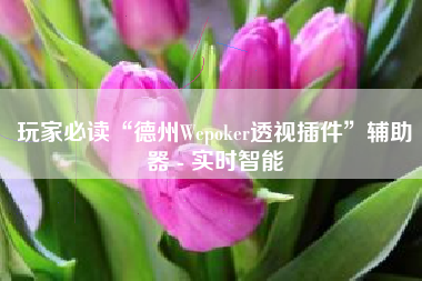 玩家必读“德州Wepoker透视插件”辅助器 - 实时智能