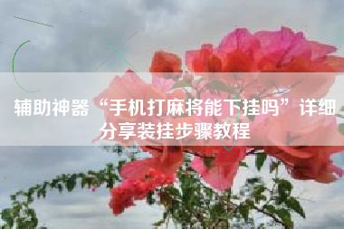 辅助神器“手机打麻将能下挂吗”详细分享装挂步骤教程