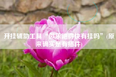 开挂辅助工具“微乐跑得快有挂吗	”(原来确实是有插件)