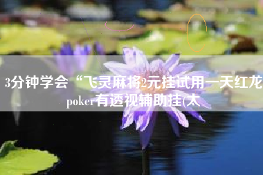 3分钟学会“飞灵麻将2元挂试用一天红龙poker有透视辅助挂(太