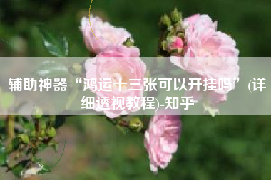 辅助神器“鸿运十三张可以开挂吗”(详细透视教程)-知乎