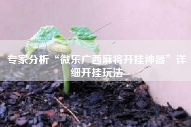 专家分析“微乐广西麻将开挂神器	”详细开挂玩法