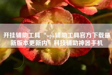 开挂辅助工具“wpk辅助工具官方下载最新版本更新内”科技辅助神器手机
