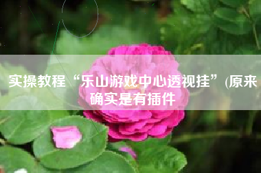 实操教程“乐山游戏中心透视挂”(原来确实是有插件