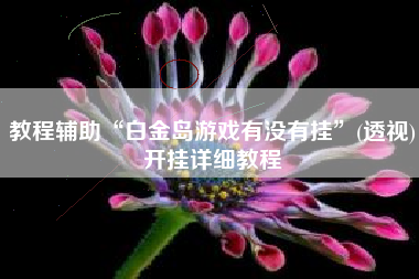 教程辅助“白金岛游戏有没有挂”(透视)开挂详细教程