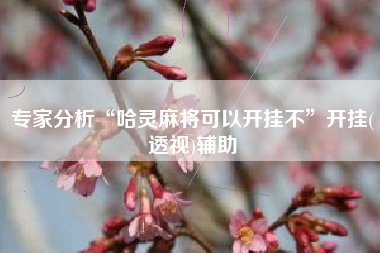 专家分析“哈灵麻将可以开挂不”开挂(透视)辅助