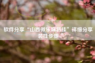 软件分享“山西微乐麻将挂”详细分享装挂步骤