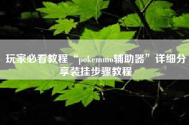 玩家必看教程“pokemmo辅助器”详细分享装挂步骤教程