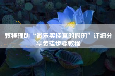 教程辅助“微乐买挂真的假的	”详细分享装挂步骤教程