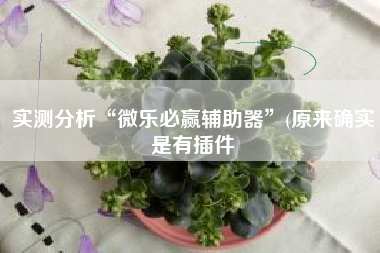 实测分析“微乐必赢辅助器	”(原来确实是有插件
