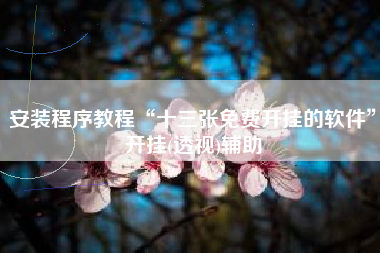 安装程序教程“十三张免费开挂的软件”开挂(透视)辅助